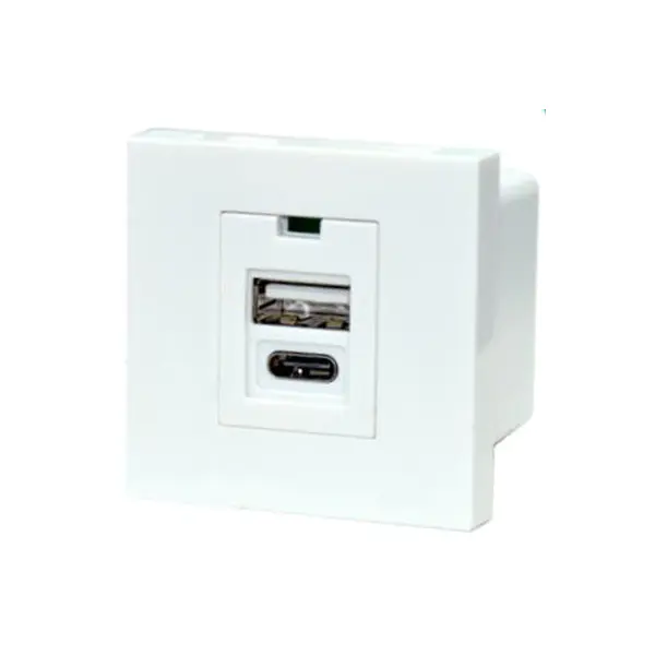 Dual Port TypeA+C Usb Charger Socket Module